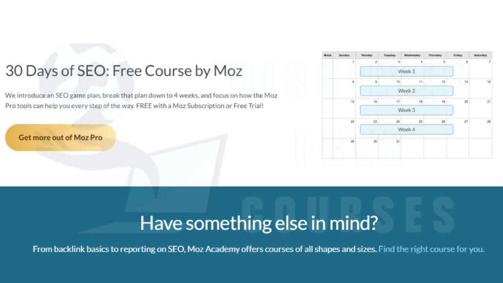 Free SEO Course